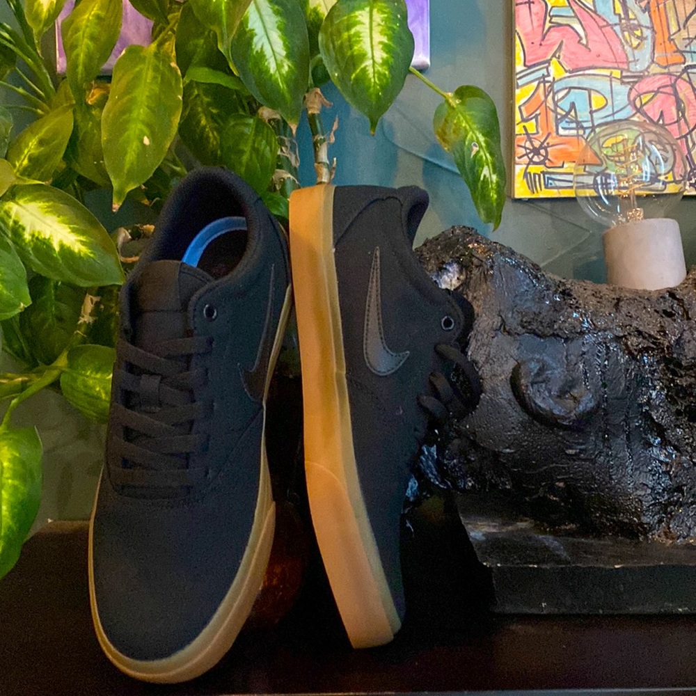 NIKE SB CHARGE